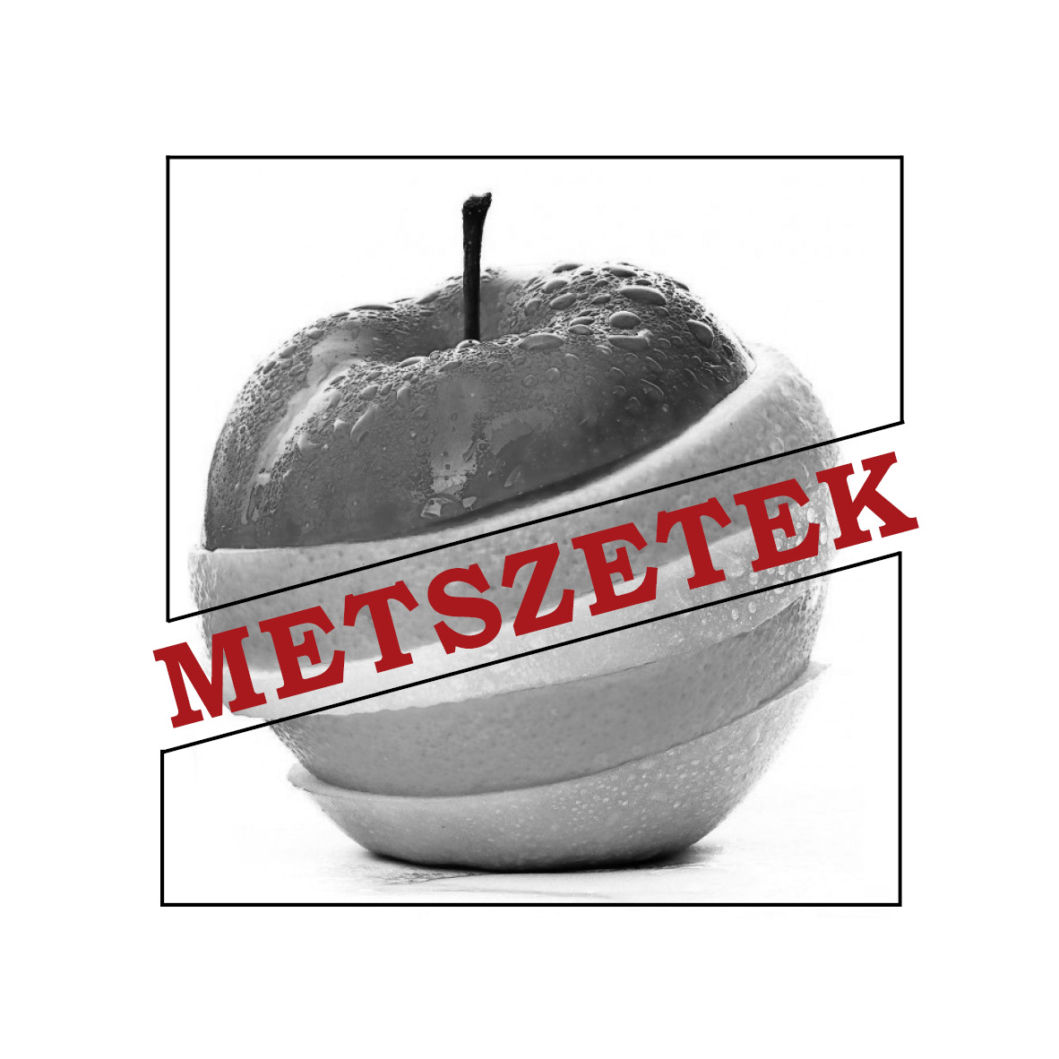 Institute of Political Science and Sociology, University of Debrecen Cover Image