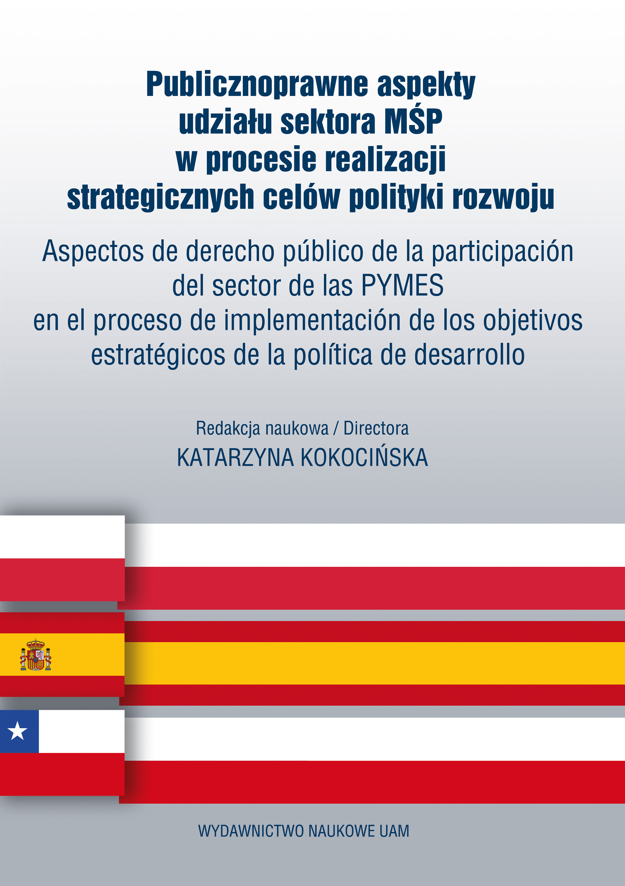 Publicznoprawne aspekty udziału sektora MŚP w procesie realizacji strategicznych celów polityki rozwoju / Aspectos de derecho público de la participación del sector de las PYMES en el proceso de implementación de los objetivos estratégicos...