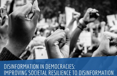 Disinformation in Democracies: Improving Societal Resilience to Disinformation