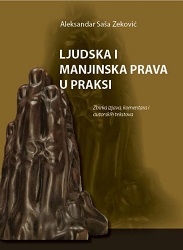 Human and minority rights in practice