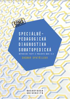 Special pedagogical diagnostics in education of individuals with physical disability