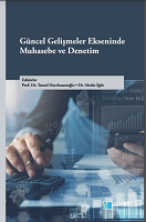 Accounting and Auditing on the Axis of Current Developments Cover Image