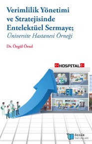 Intellectual Capital in Productivity Management and Strategy; The University Hospital Example Cover Image