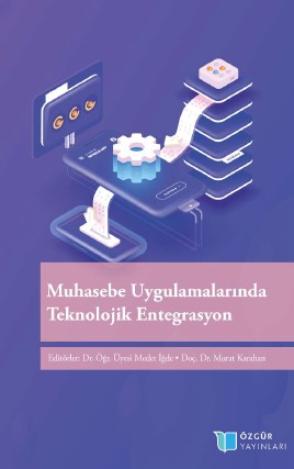Opinions of Professional Accountants on E-Commerce: A Research in Gaziantep Province Cover Image