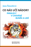 Co nás učí nádory: Paralely v chování buněk a lidí