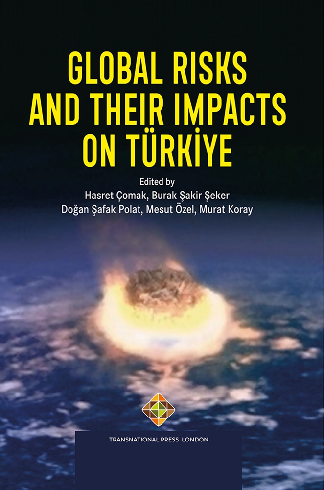 Global Risks and Their Impacts on Türkiye Cover Image