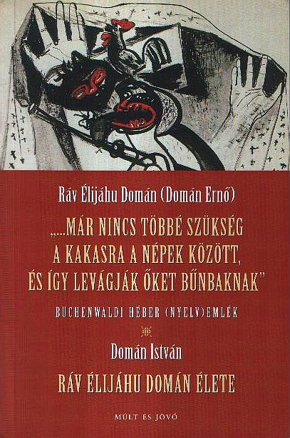 The Life of Ráv Élijáhu Domán Cover Image