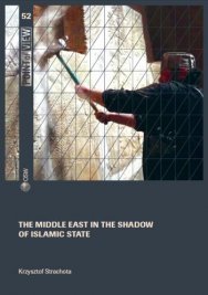 The Middle East in the shadow of the Islamic State Cover Image