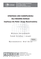 The EU Strategy for the Danube Region. The implications for Poland and the Visegrad Group Cover Image