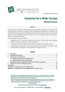 Scenarios for a Wider Europe Cover Image