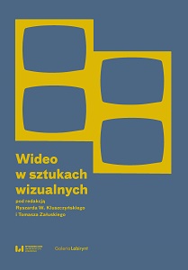 Video in the Visual Arts Cover Image