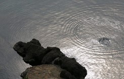 Czech Adriatic Sea Cover Image