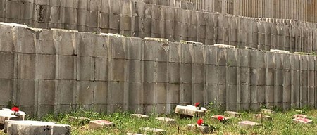 Krivo srastanje na Partizanskom groblju