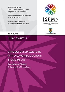 Survival strategies in a Roma community. Case Study: Community of "Dig", Orastie, Hunedoara County