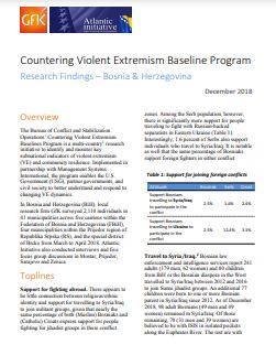 Countering Violent Extremism Baseline Program Cover Image