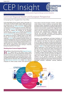 Common Regional Market and European Perspective