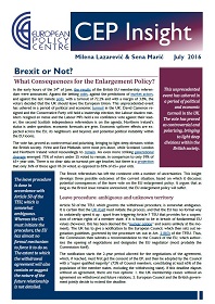 Brexit or Not? What Consequences for the Enlargement Policy?