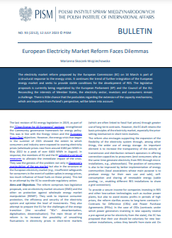 European Electricity Market Reform Faces Dilemmas Cover Image