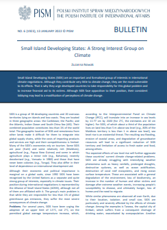 Small Island Developing States: A Strong Interest Group on Climate Cover Image