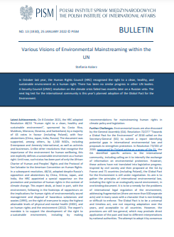 Various Visions of Environmental Mainstreaming within the UN