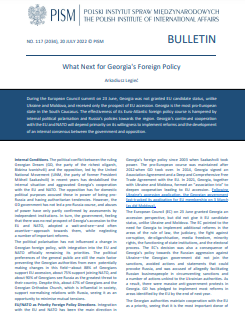 What Next for Georgia's Foreign Policy Cover Image