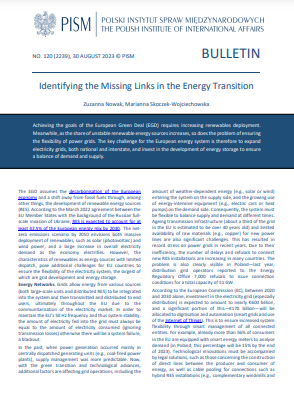 Identifying the Missing Links in the Energy Transition