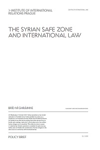 The Syrian Safe Zone and International Law Cover Image