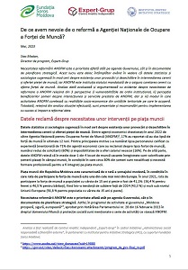 Why do we need a reform of the National Employment Agency? Cover Image