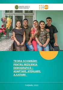 Theory of Change for Demographic Resilience Cover Image