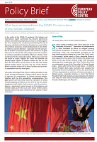 What have we learned from the COVID-19 crisis in terms of Sino-Serbian relations? China’s influence in Serbia will grow as much as the EU allows it to