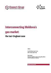 Interconnecting Moldova's gas market: the Iasi-Ungheni case Cover Image
