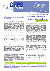 №148. The New EU Strategy towards Central Asia: A View from the Region Cover Image