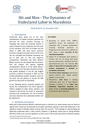 Hidden Economy in Macedonia Policy Brief 2: Hit and Miss - The Dynamics of Undeclared Labor in Macedonia Cover Image