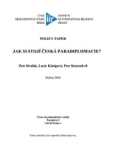 How do you like Czech Paradiplomacy? Cover Image