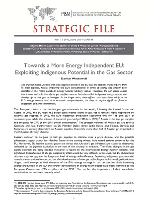 №49: Towards a More Energy Independent EU: Exploiting Indigenous Potential in the Gas Sector Cover Image