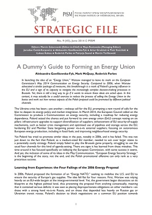 №45: A Dummy’s Guide to Forming an Energy Union Cover Image