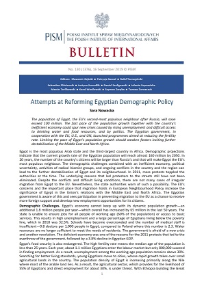 Attempts at Reforming Egyptian Demographic Policy