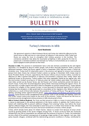 Turkey’s Interests in Idlib Cover Image