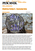 Bilježnica Robija K.: Operacija bista