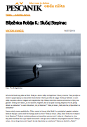 Bilježnica Robija K.: Slučaj Stepinac