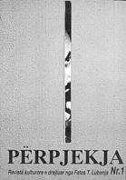 WHAT IS PERPJEKJA AIMING AT Cover Image