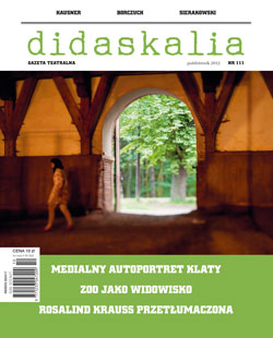 Silesia as a Terrain for Discursive Requirements of Polishness Cover Image