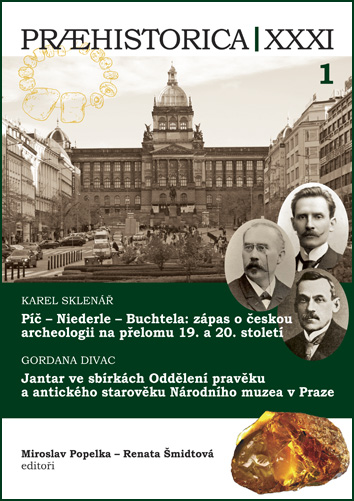 Amber in the collections of the Department of Prehistory and Classical antiquity of the National Museum in Prague Cover Image