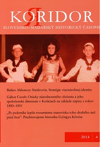 Ivan Halász: Uhorsko a podoby slovenskej identity v dlhom 19. storočí Cover Image