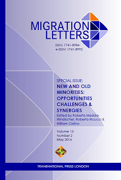 “Old” vs. “new” minorities – an identity-based approach to the  distinction between autochthonous  and immigrant minorities Cover Image