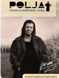 ABOUT DAVID FOSTER WALLACE Cover Image