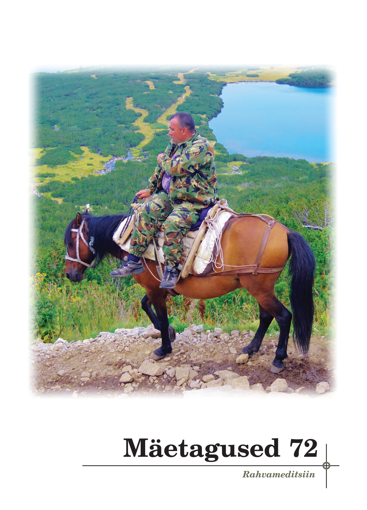 Cultural competencies and the meaning of migration history in palliative care and hospice work: A hermeneutic discussion guided by patient narratives Cover Image