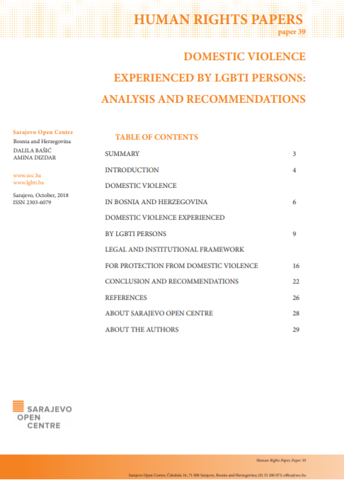 Domestic Violence Experienced by LGBTI Persons: Analysis and Recommendations Cover Image