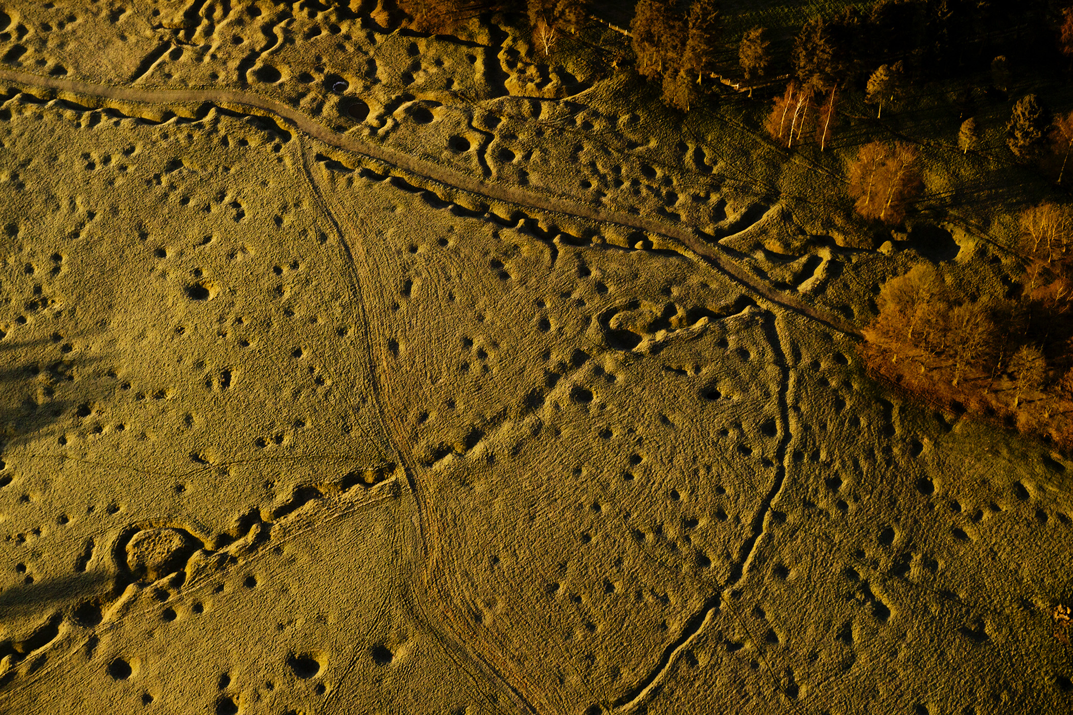 Rethinking Paleolithic Visual Culture throughout immersive technology: The site "Cueva de las Manos" as a virtual "Denkraum" (Patagonia, Argentina) Cover Image