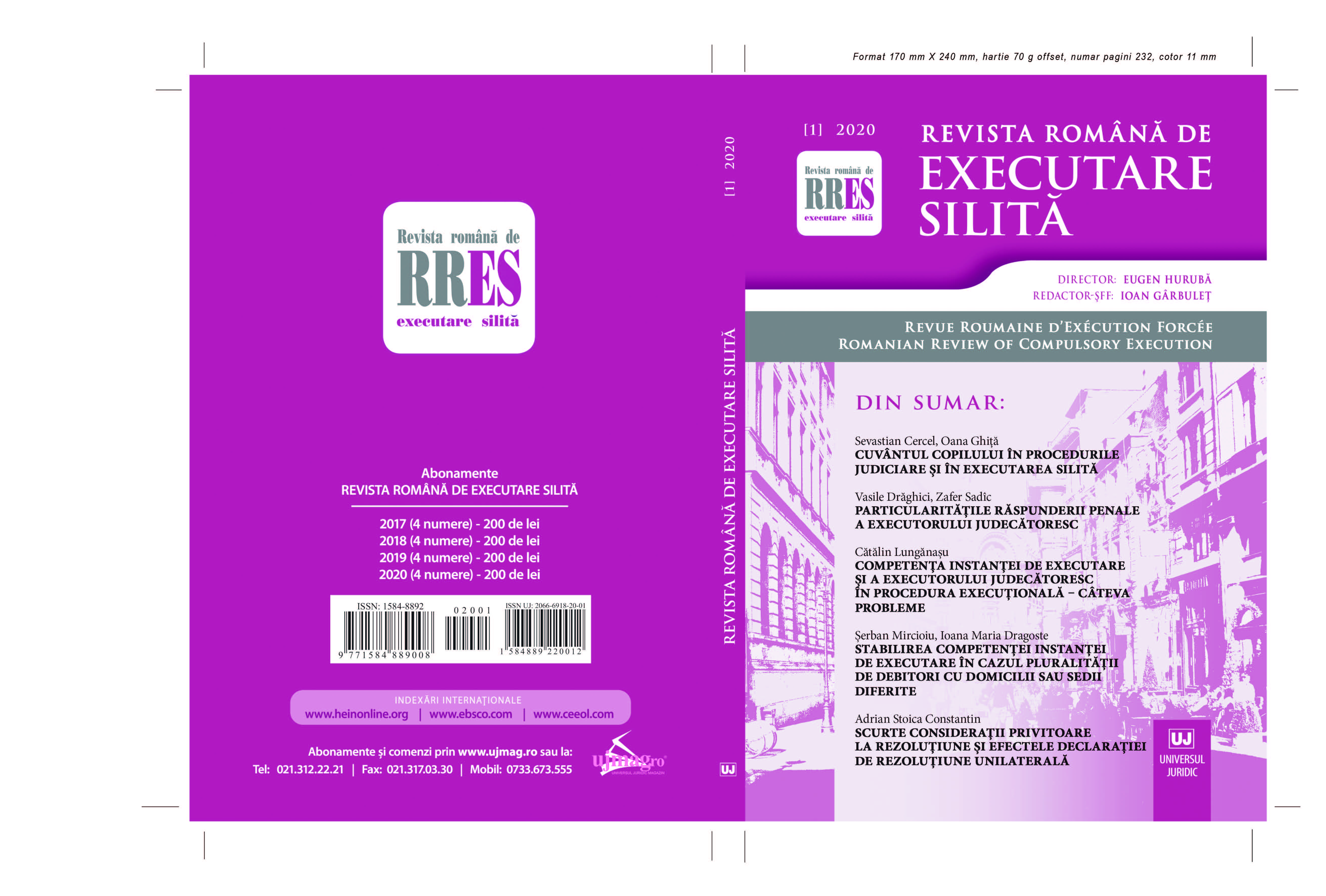 The role of the judge within the forced execution procedure Cover Image